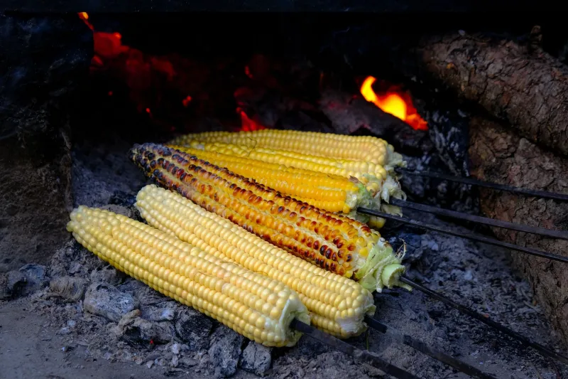 Smoke, Scoop, Blend: The Surprisingly Delicious Case for Turning Grill Leftovers Into Milkshakes